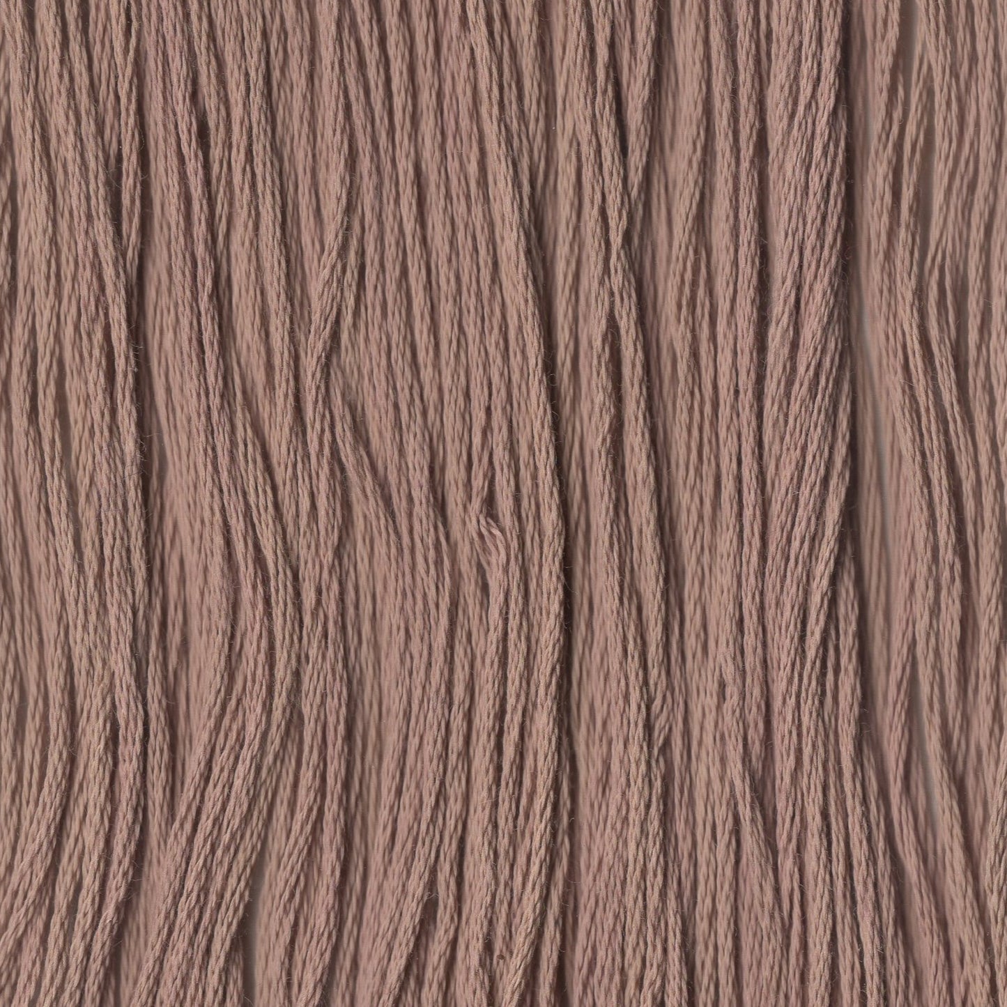 Root Beer Float - CCT-027
