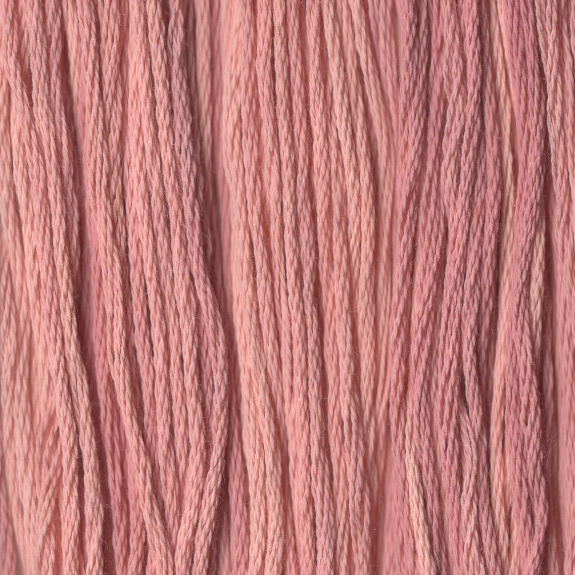 Rose Petal - CCT-239