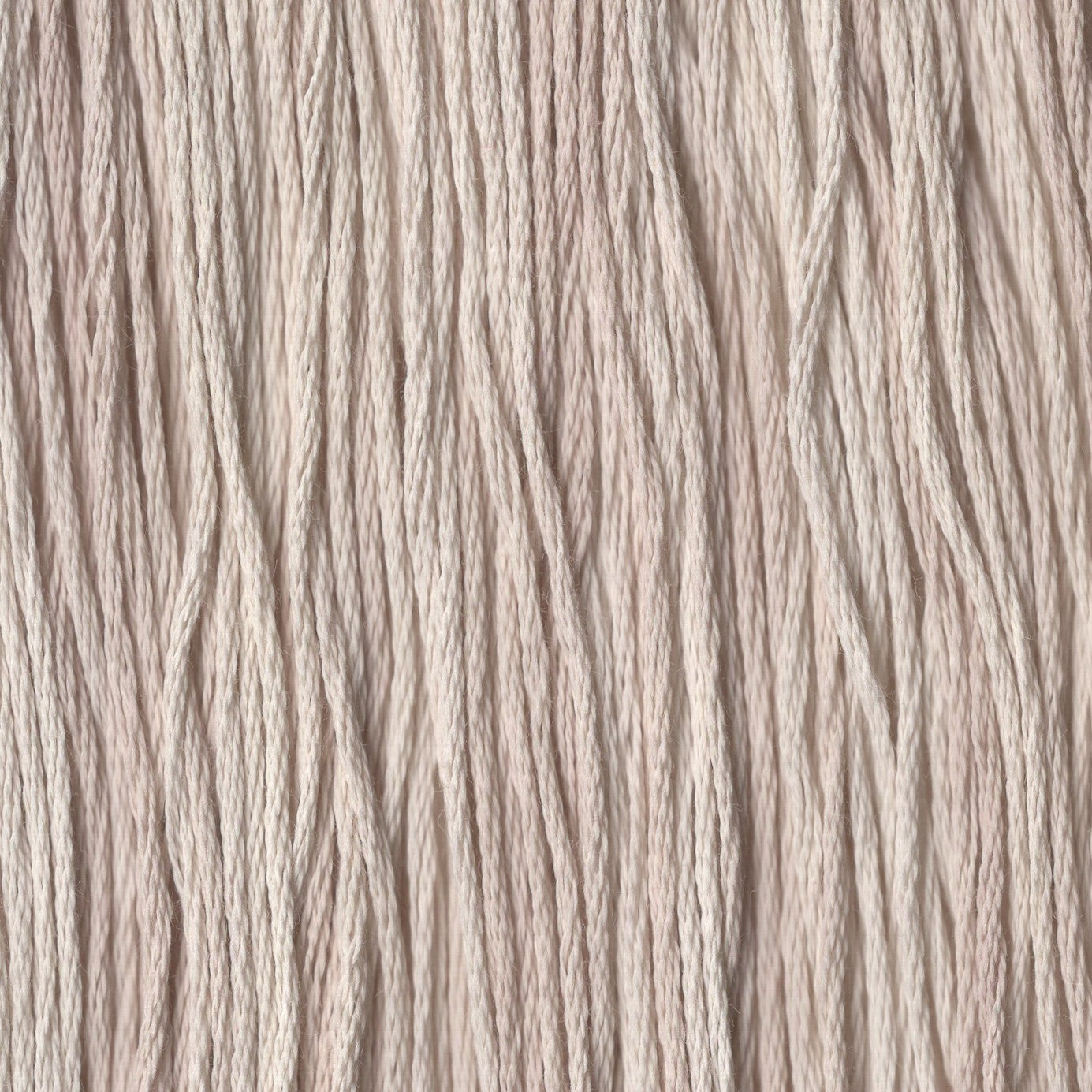 Shabby Sheep - CCT-235