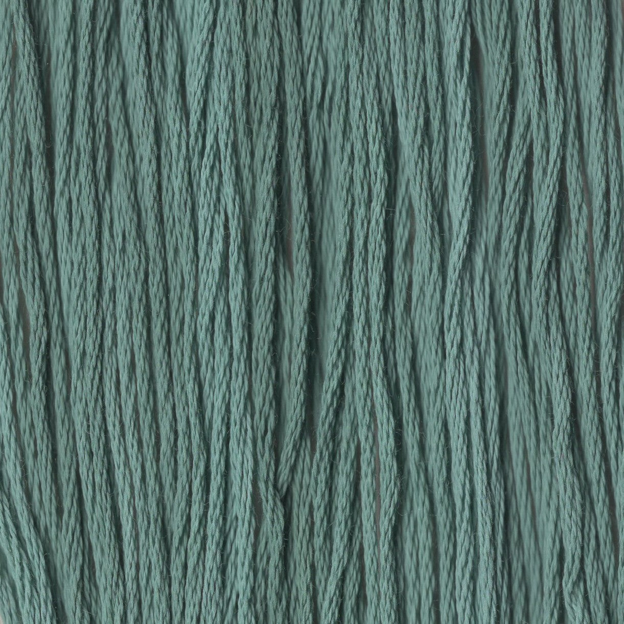 Shamrock - CCT-028