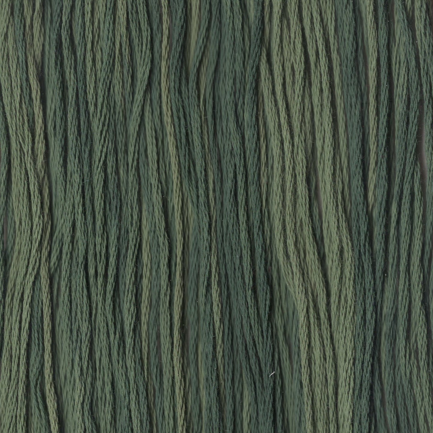 Spinach - CCT-029
