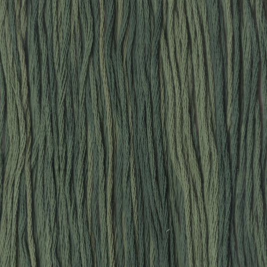 Spinach - CCT-029