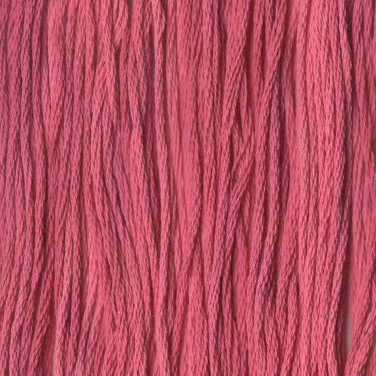 Strawberry Parfait - CCT-238