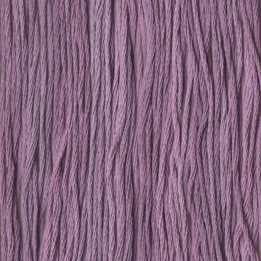 Sugar Plum - CCT-237