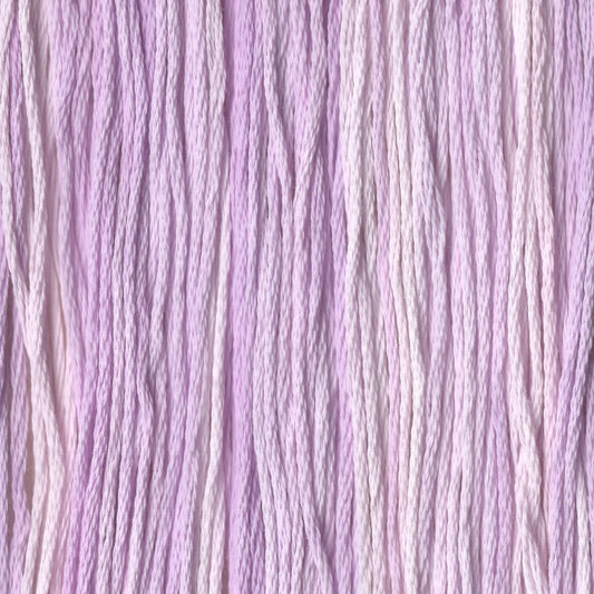 Sugar and Spice - CCT-040