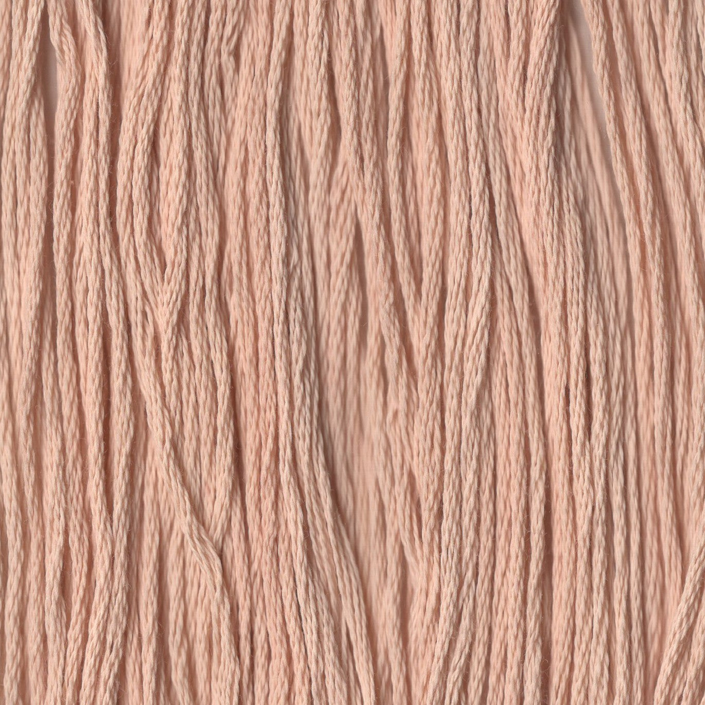 Sunkissed - CCT-041