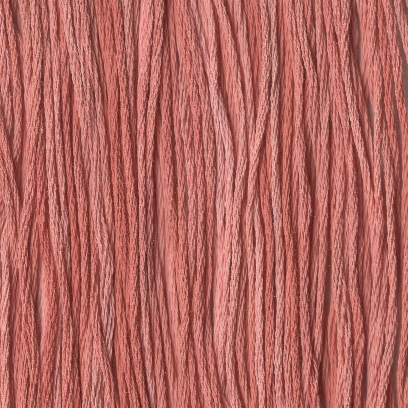 Sweet Potato - CCT-260