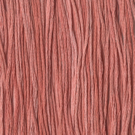 Sweet Potato - CCT-260