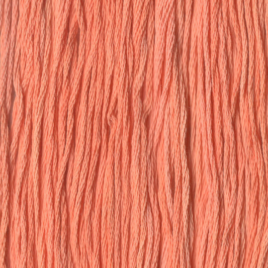 Tangerine - CCT-043