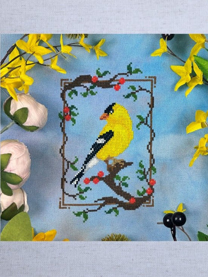 Summer Goldfinch