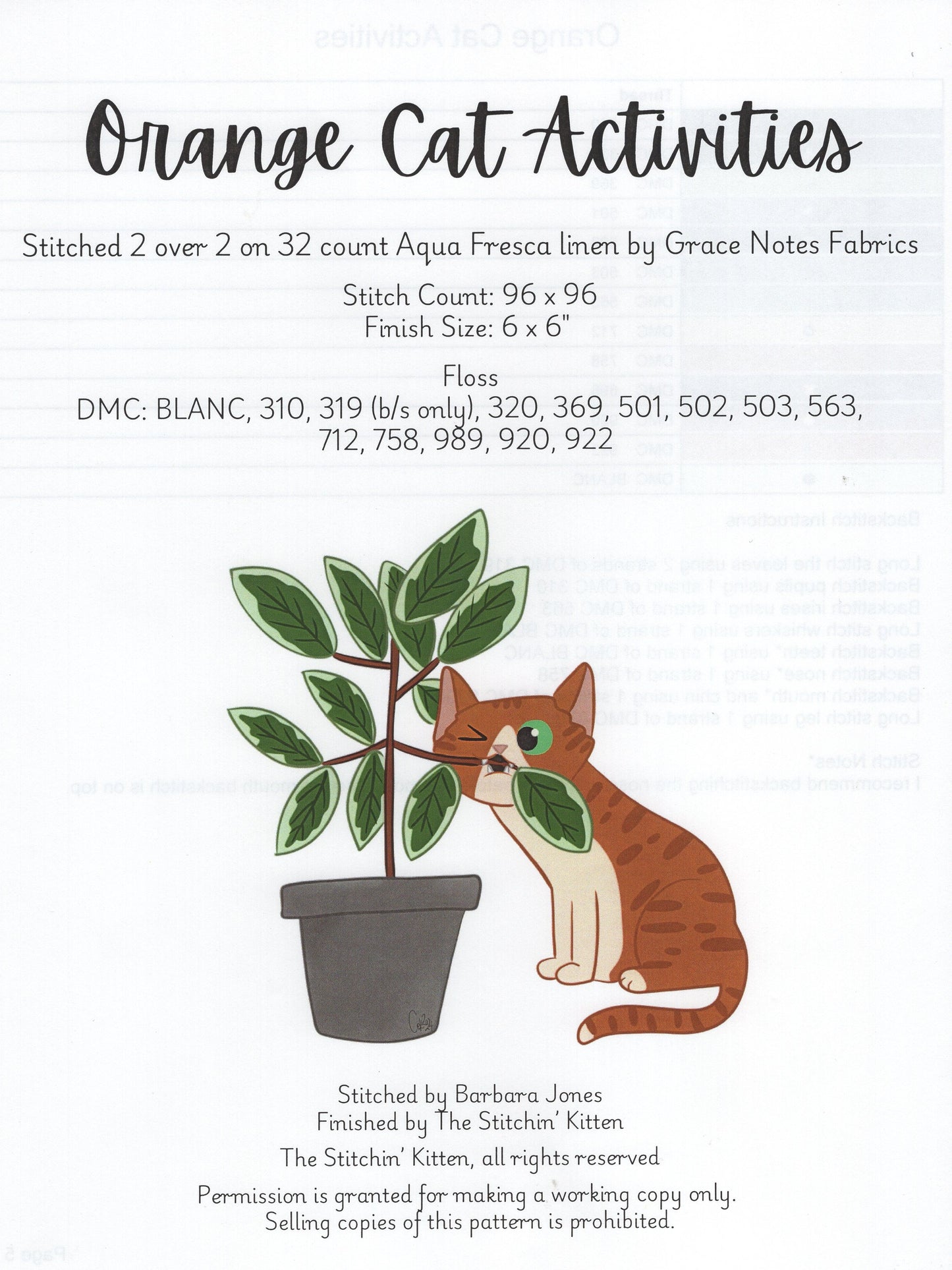 Orange Cat Activities