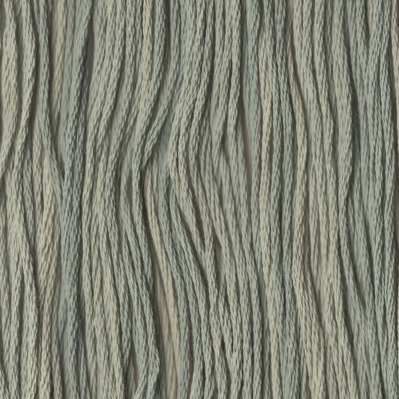 Tiny Vine - CCT-205