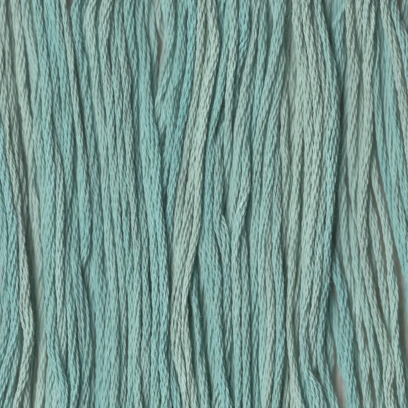 Tropical Paradise - CCT-265