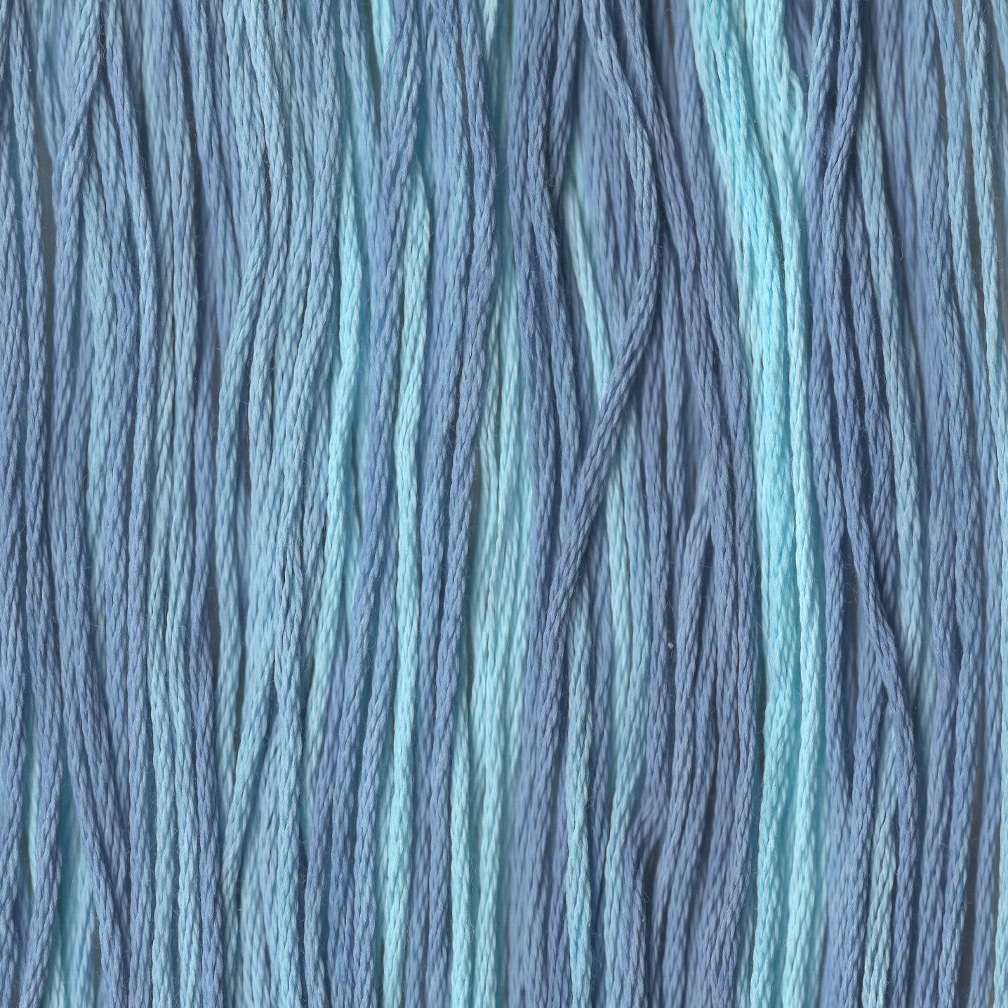 Tyler Boy Blue - CCT-111