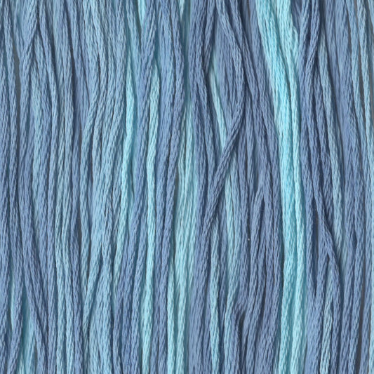 Tyler Boy Blue - CCT-111