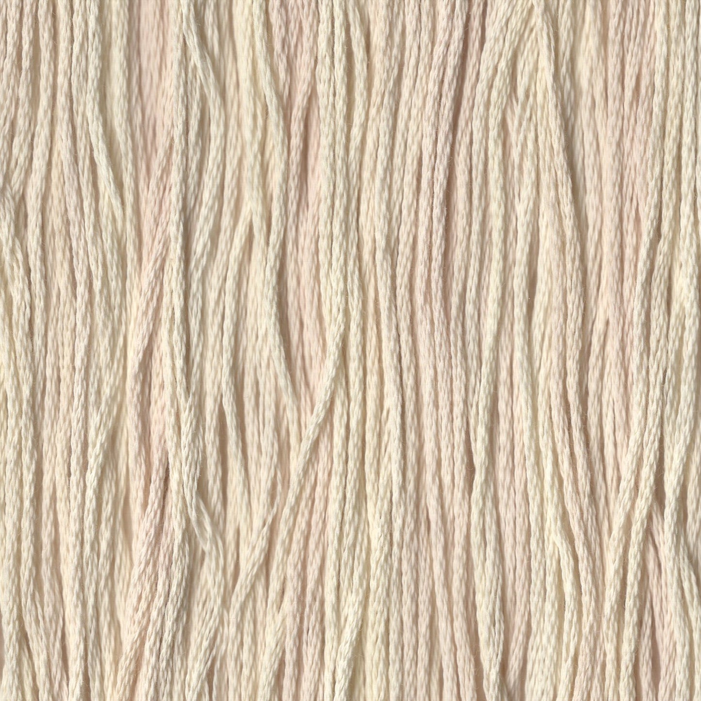 Vanilla Custard - CCT-263