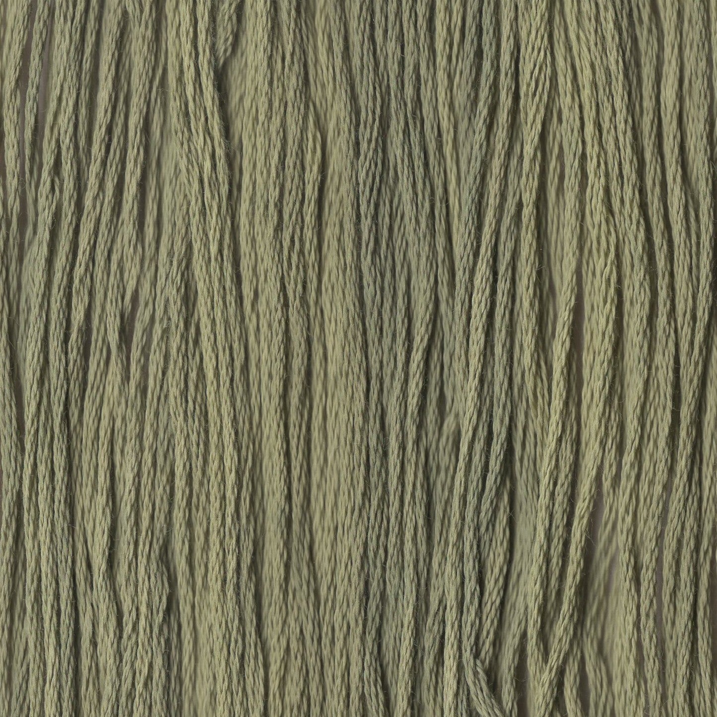 Weeping Willow - CCT-162