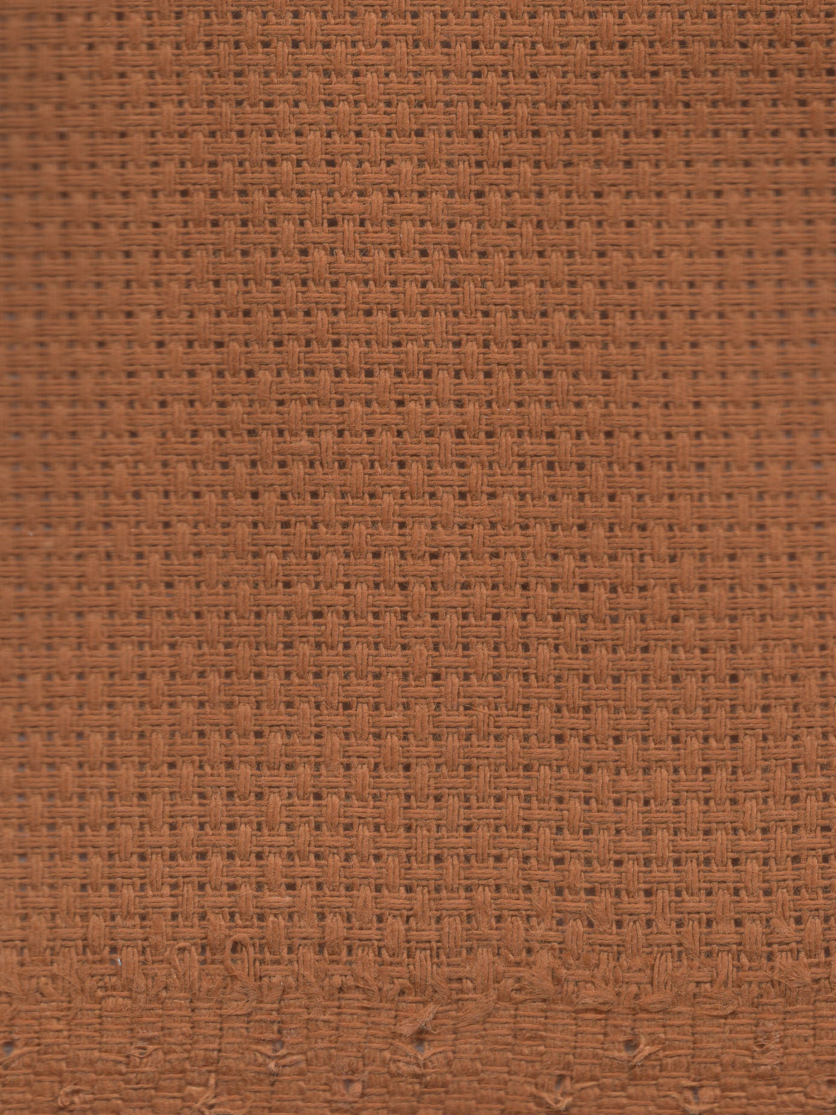 Pecan - 14 count - Aida